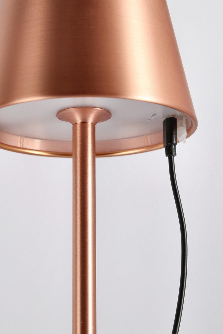 Piantana led etna bronzo h115
