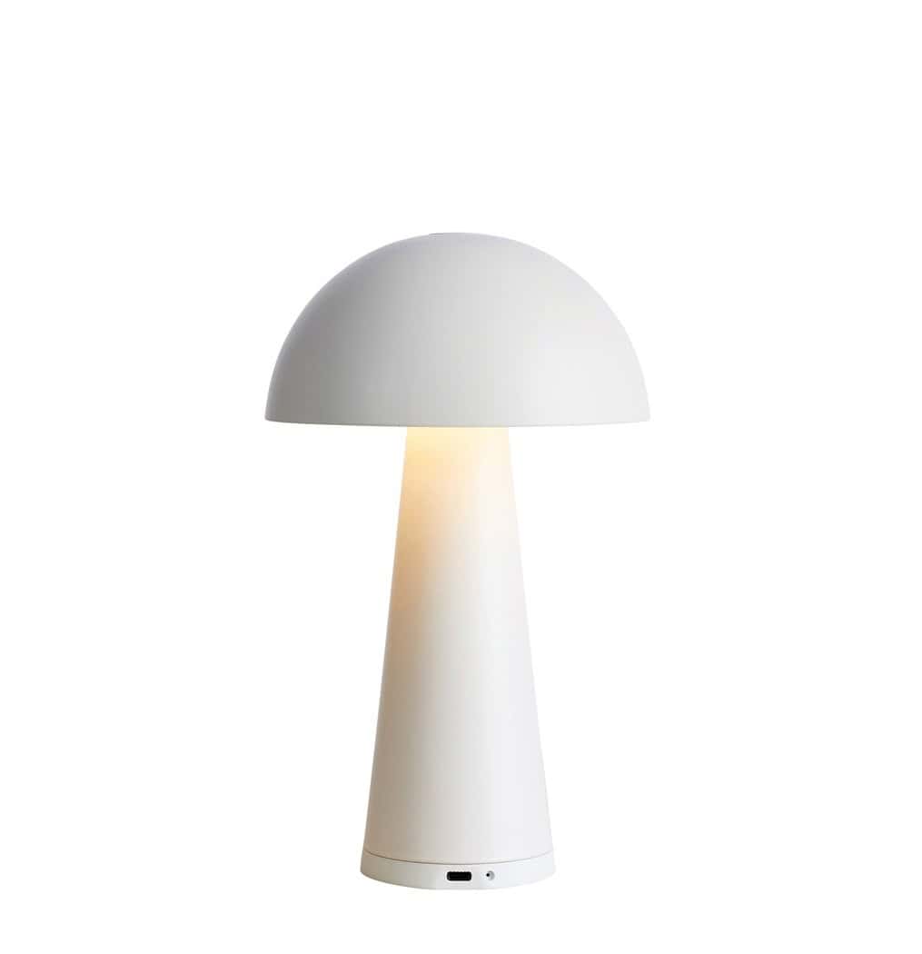 108656_fungi_001
