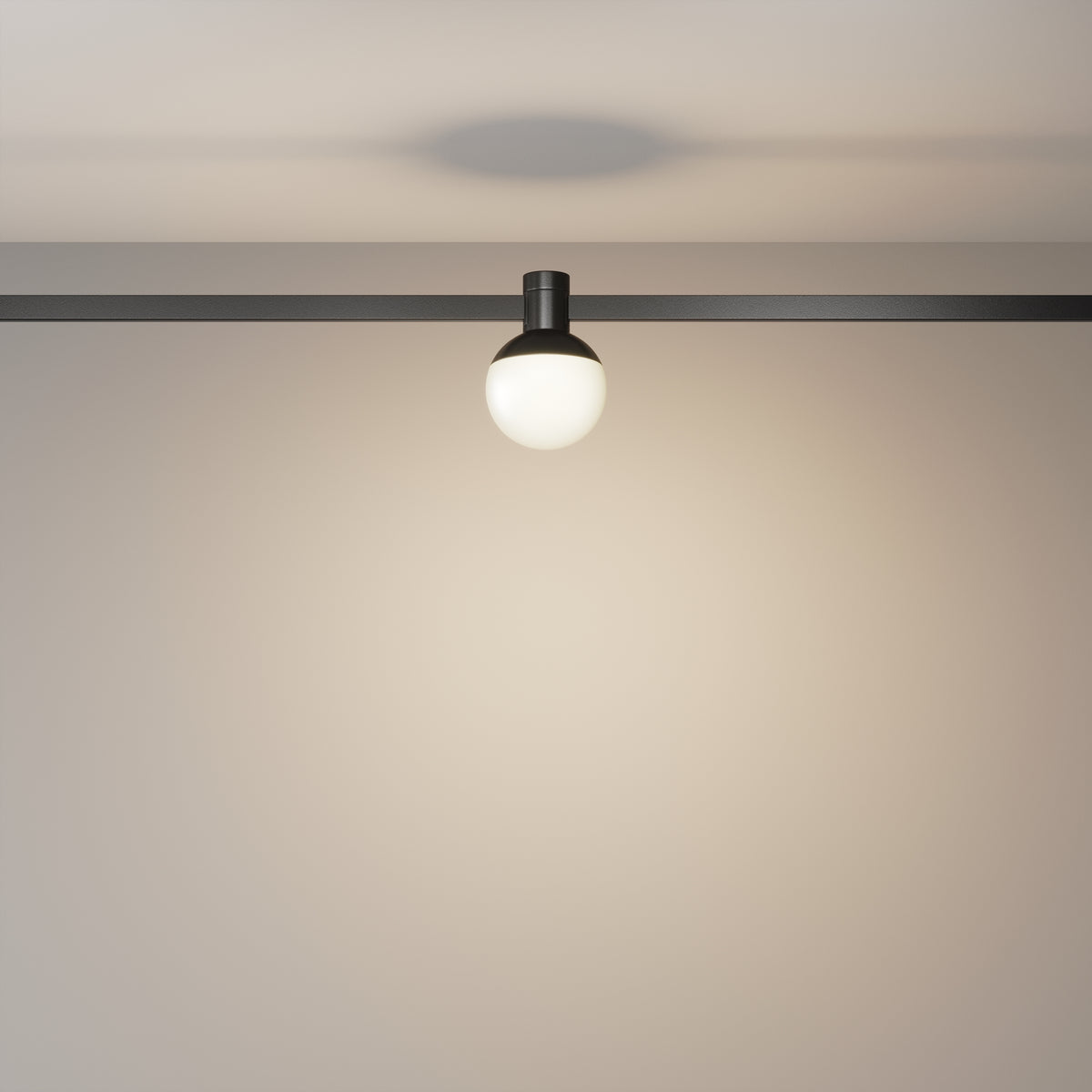 Faretto per binario Luna - Maytoni - Nero - TR149-1-5W3K-B-DE